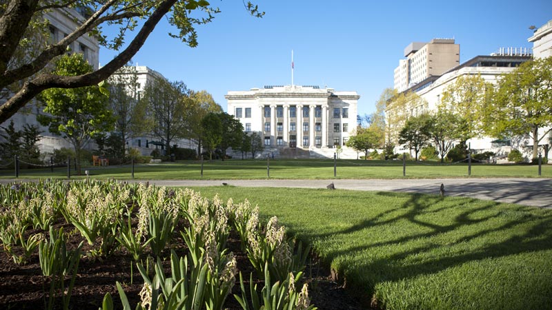 Học y khoa nên chọn ngành nào - Harvard Medical School 1