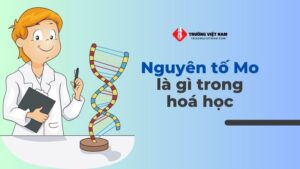 Nguyên tố Mo là gì trong Hóa Học