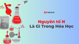 Nguyên tố N là gì trong Hóa Học