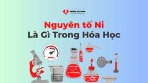 Nguyên tố Ni là gì trong Hóa Học