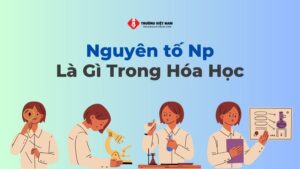 Nguyên tố Np là gì trong Hóa Học