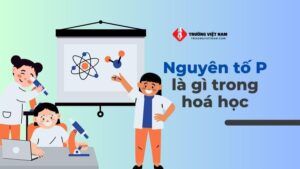 Nguyên tố P là gì trong Hóa Học