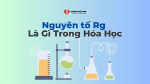 Nguyên tố Rg là gì trong Hóa Học