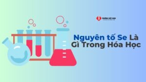 nguyên tố se là gì trong hoá học