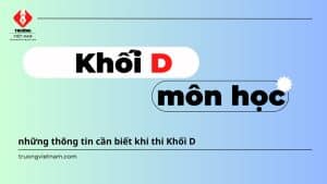 Khối D là gì? học và thi khối D