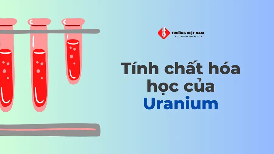 Nguyên tố U là viết tắt của Uranium (uran), một nguyên tố hóa học có số nguyên tử là 92