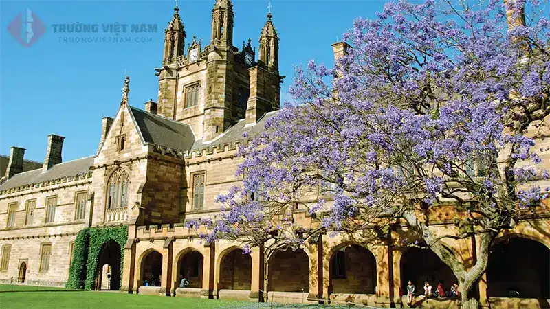 University of Sydney là một trong những trường đại học hàng đầu tại Australia, với tầm ảnh hưởng lớn trong lĩnh vực giáo dục và nghiên cứu.