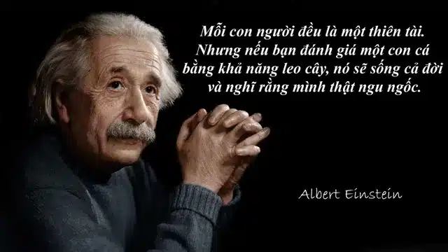 Review sách Nói nhiều không bằng nói đúng - Einstein moi con nguoi deu la thien tai