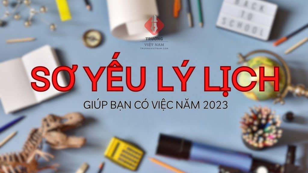 Tổng quan về Sơ yếu lý lịch