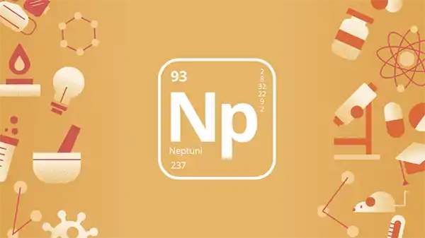 Nguyên tố Np đại diện cho nguyên tố Neptuni (Neptunium) trong bảng tuần hoàn các nguyên tố hóa học