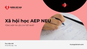 tài liệu môn xã hội học AEP NEU