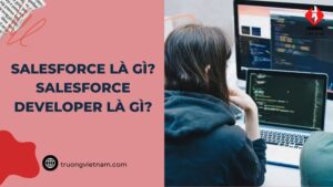 Salesforce là gì? Những thông tin cần biết Salesforce Developer