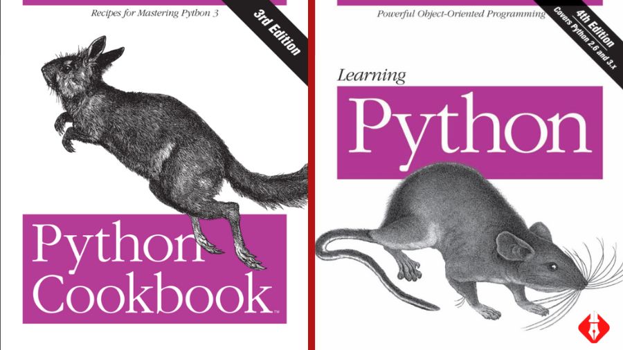 2 cuốn Ebooks tiếng anh dạy học Python