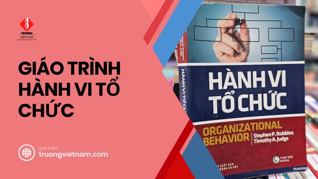 Tải giáo trình Hành Vi Tổ Chức - Trọn bộ bài giảng và đề thi 