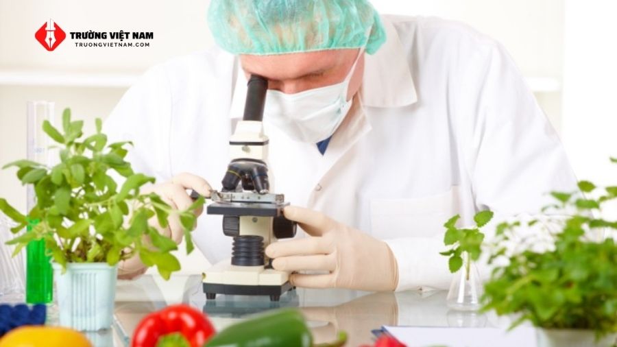Đồ án chuyên ngành Kỹ thuật thực phẩm Bách Khoa chi tiết 1 Kỹ thuật thực phẩm đảm bảo sản xuất, bảo quản và phát triển sản phẩm an toàn