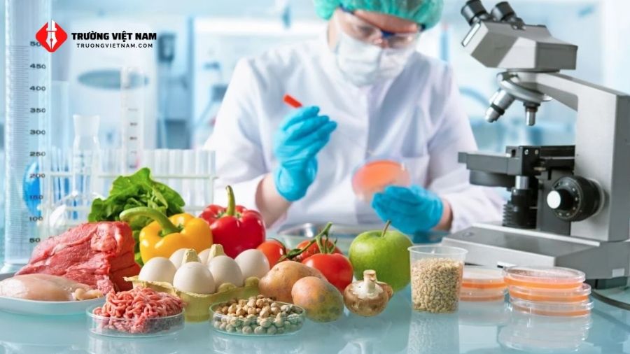 Đồ án chuyên ngành Kỹ thuật thực phẩm Bách Khoa chi tiết 2 Ngành Kỹ thuật thực phẩm Bách Khoa được ứng dụng cao trong thực tiễn