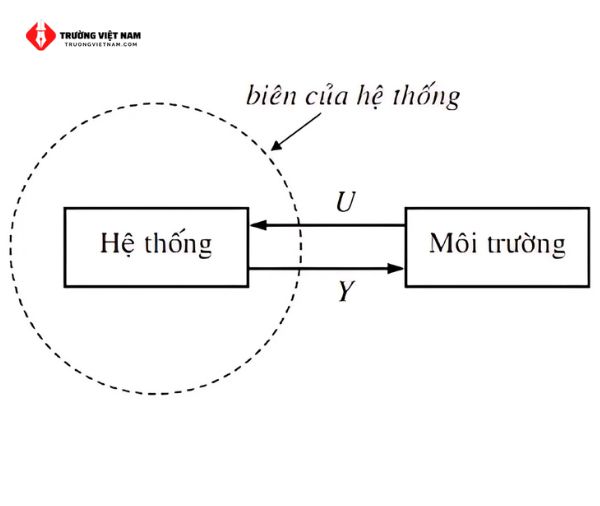 Mô hình hóa là gì? Kiến thức cơ bản và ứng dụng thực tiễn 2 Mô phỏng quá trình mô hình hóa chung