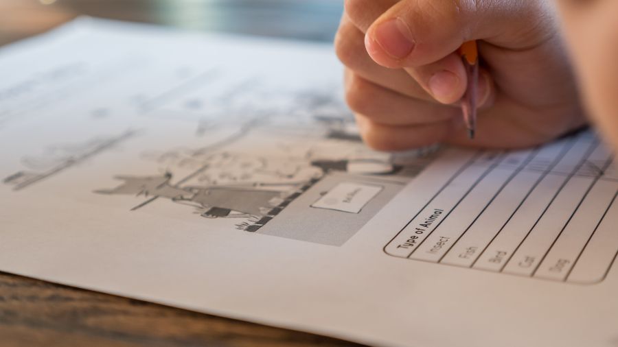Tổng quan về cấu trúc bài thi TOEIC hiện nay