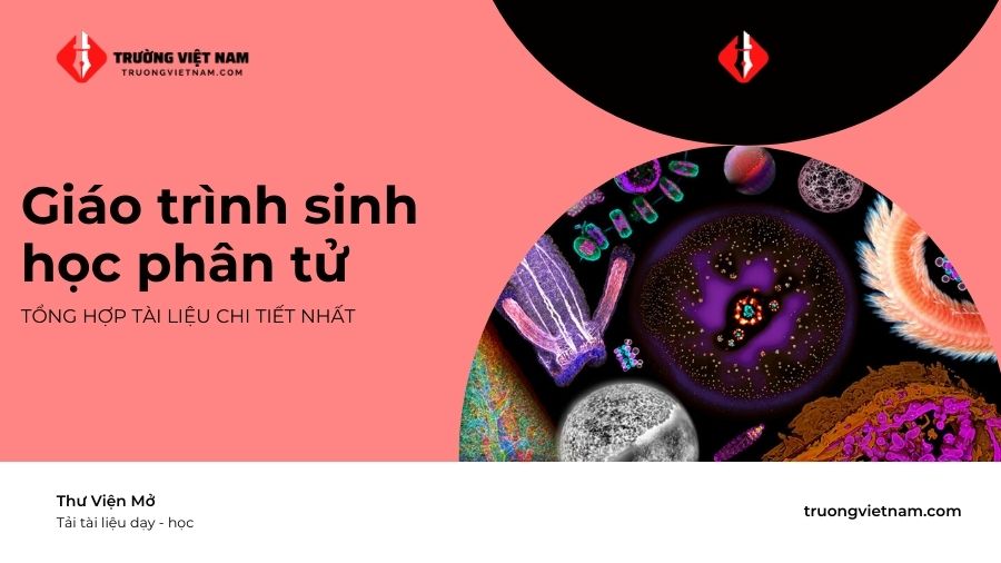 Tải giáo trình Sinh học phân tử - PDF giáo trình + Bài tập