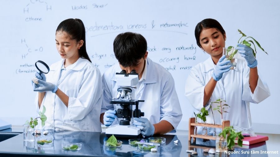 Đối tượng của giáo trình Sinh học đại cương