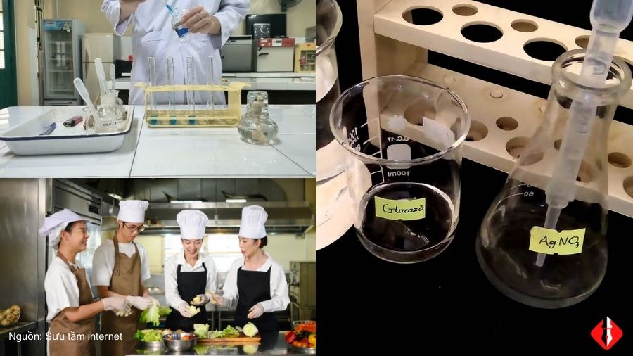 Sinh viên, học sinh và giảng viên rất cần tài liệu về Gluxit 